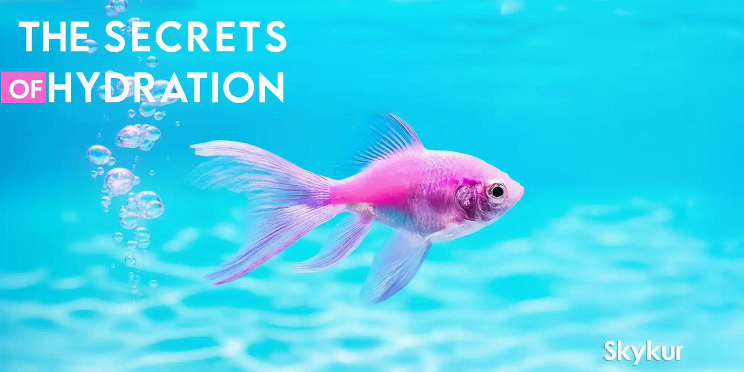 The Secrets of Hydration